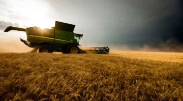 تداعيات خطيرة للصراع بالشرق الأوسط تدفع أسعار القمح الأوروبي لمستويات غير مسبوقة